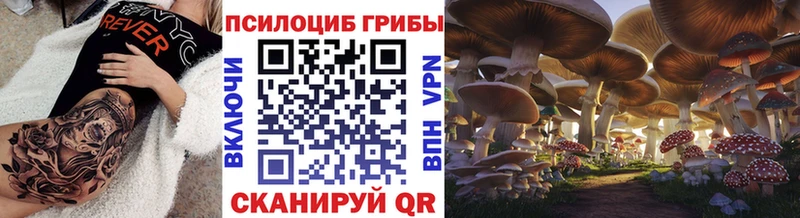 Псилоцибиновые грибы Magic Shrooms  OMG ссылки  Дербент 