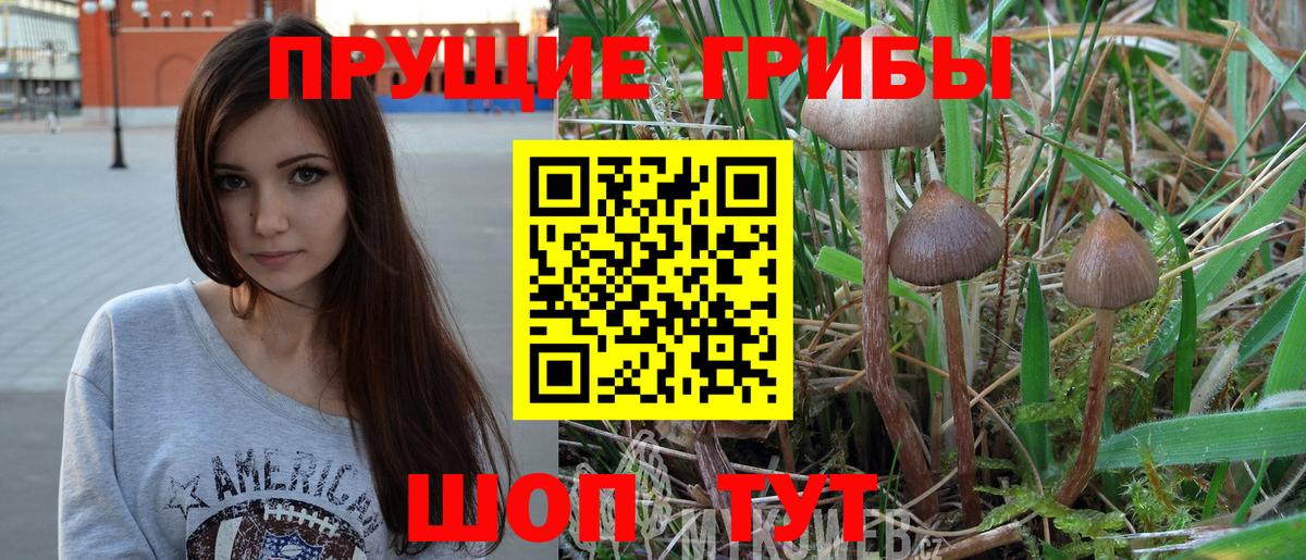 Псилоцибиновые грибы мицелий Дербент