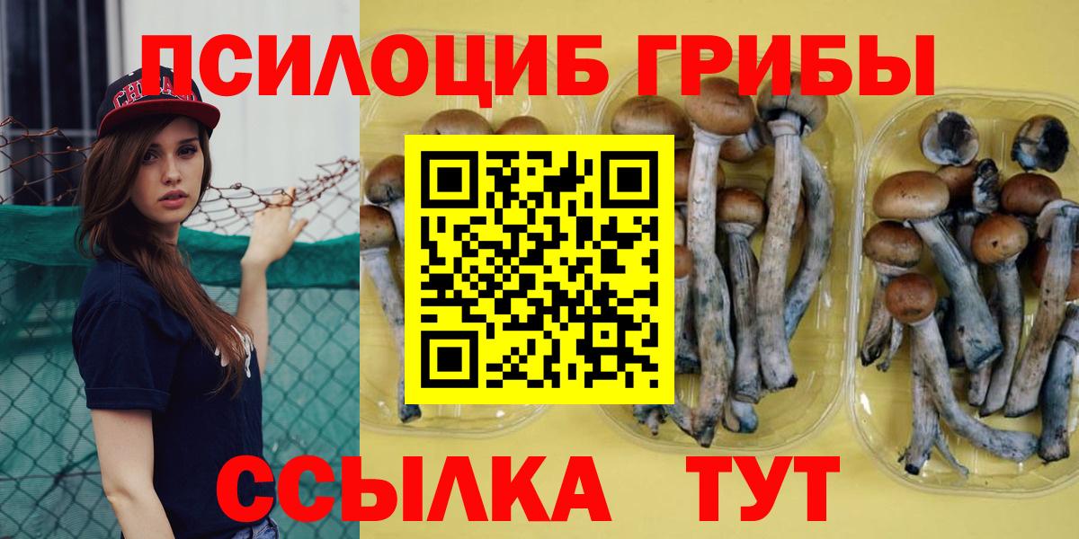 Галлюциногенные грибы Magic Shrooms Дербент