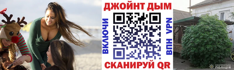 где можно купить наркотик  Дербент  Марихуана гибрид 
